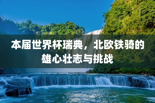 本届世界杯瑞典，北欧铁骑的雄心壮志与挑战