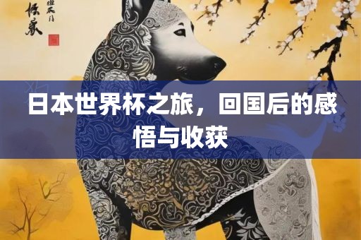 日本世界杯之旅，回国后的感悟与收获