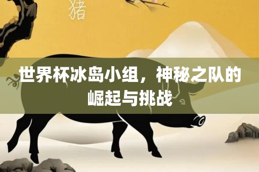 世界杯冰岛小组，神秘之队的崛起与挑战