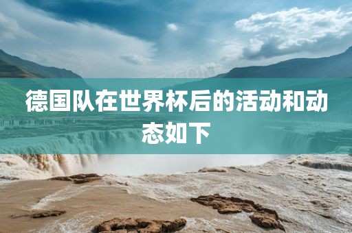 德国队在世界杯后的活动和动态如下