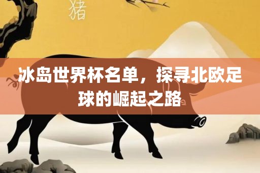 冰岛世界杯名单，探寻北欧足球的崛起之路