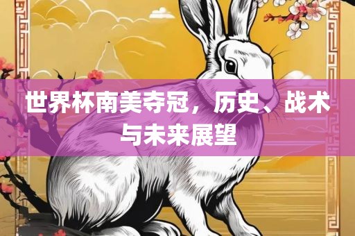 世界杯南美夺冠，历史、战术与未来展望