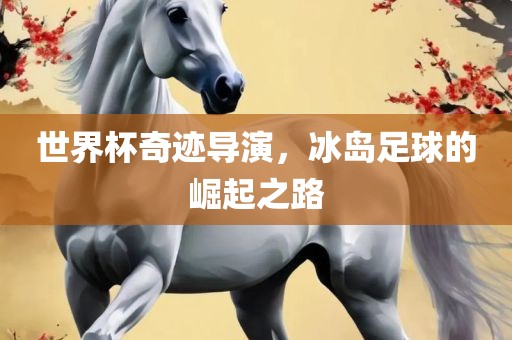 世界杯奇迹导演，冰岛足球的崛起之路