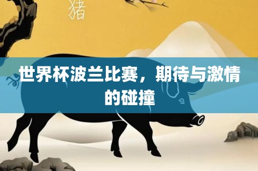 世界杯波兰比赛，期待与激情的碰撞