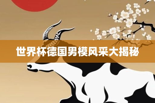 世界杯德国男模风采大揭秘