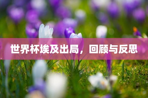 世界杯埃及出局，回顾与反思