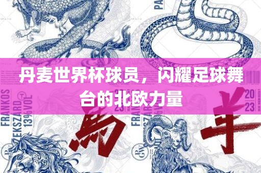 丹麦世界杯球员，闪耀足球舞台的北欧力量