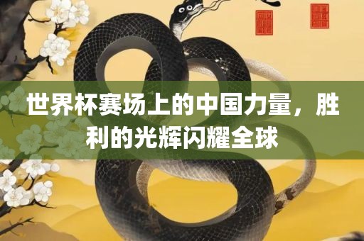 世界杯赛场上的中国力量，胜利的光辉闪耀全球