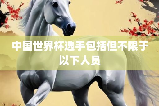 中国世界杯选手包括但不限于以下人员