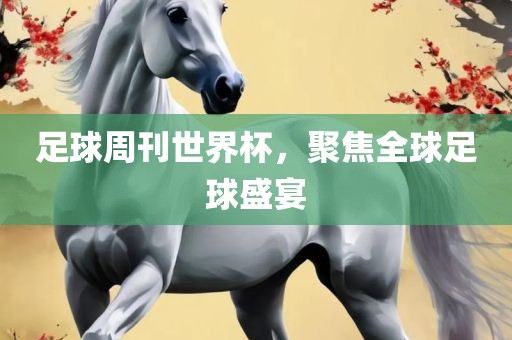 足球周刊世界杯，聚焦全球足球盛宴