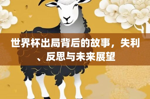 世界杯出局背后的故事，失利、反思与未来展望