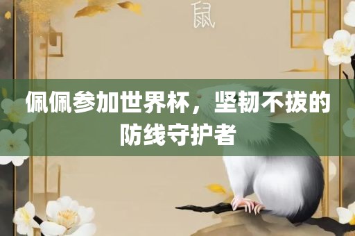 佩佩参加世界杯，坚韧不拔的防线守护者