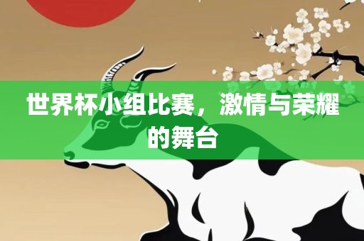 世界杯小组比赛，激情与荣耀的舞台