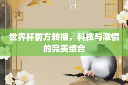 世界杯前方转播，科技与激情的完美结合
