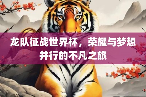 龙队征战世界杯，荣耀与梦想并行的不凡之旅