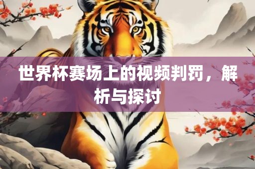世界杯赛场上的视频判罚，解析与探讨