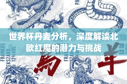 世界杯丹麦分析，深度解读北欧红魔的潜力与挑战