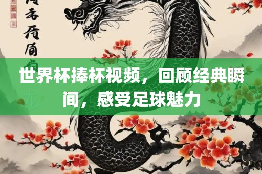 世界杯捧杯视频，回顾经典瞬间，感受足球魅力