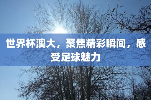 世界杯澳大，聚焦精彩瞬间，感受足球魅力