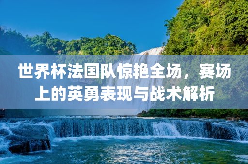 世界杯法国队惊艳全场，赛场上的英勇表现与战术解析
