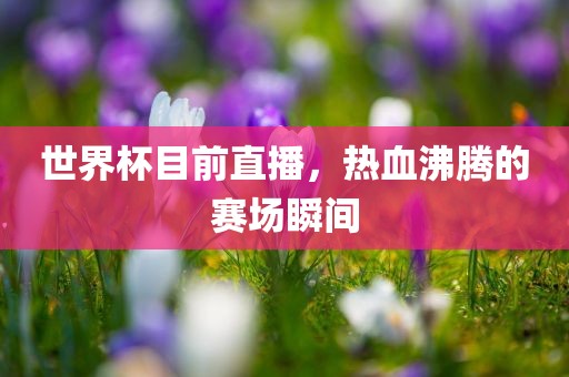 世界杯目前直播，热血沸腾的赛场瞬间广州鸿业环保设备有限公司