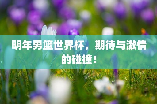 明年男篮世界杯，期待与激情的碰撞！