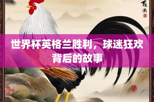 世界杯英格兰胜利，球迷狂欢背后的故事