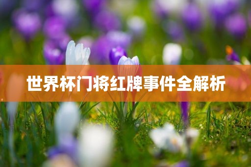 世界杯门将红牌事件全解析