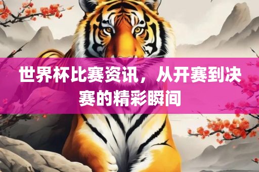 世界杯比赛资讯，从开赛到决赛的精彩瞬间