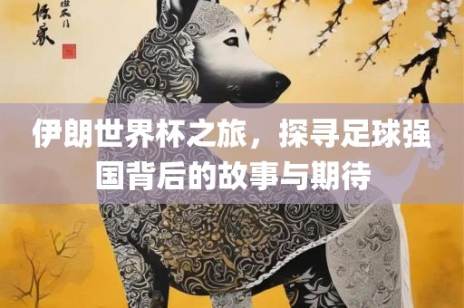 伊朗世界杯之旅，探寻足球强国背后的故事与期待