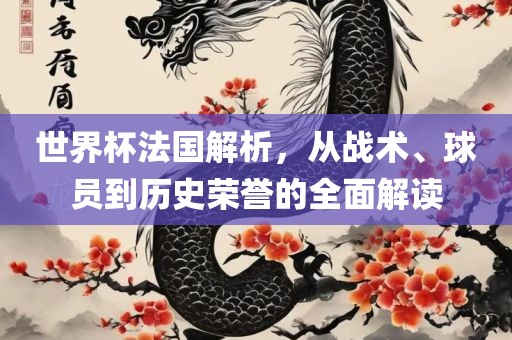 世界杯法国解析，从战术、球员到历史荣誉的全面解读