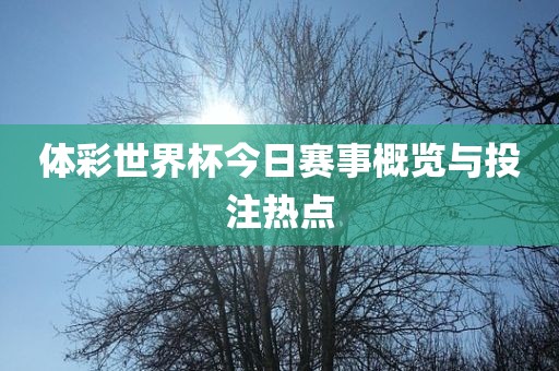 体彩世界杯今日赛事概览与投注热点