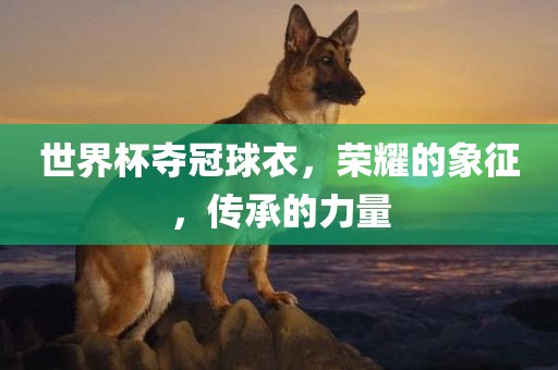 世界杯夺冠球衣，荣耀的象征，传承的力量