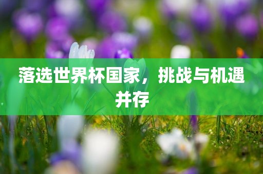 落选世界杯国家，挑战与机遇并存