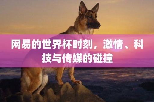 网易的世界杯时刻，激情、科技与传媒的碰撞