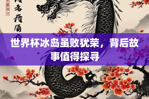 世界杯冰岛虽败犹荣，背后故事值得探寻
