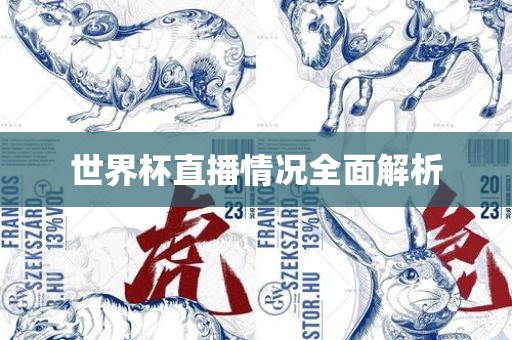 世界杯直播情况全面解析
