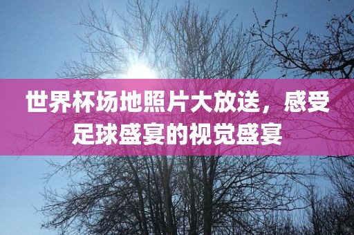 世界杯场地照片大放送，感受足球盛宴的视觉盛宴
