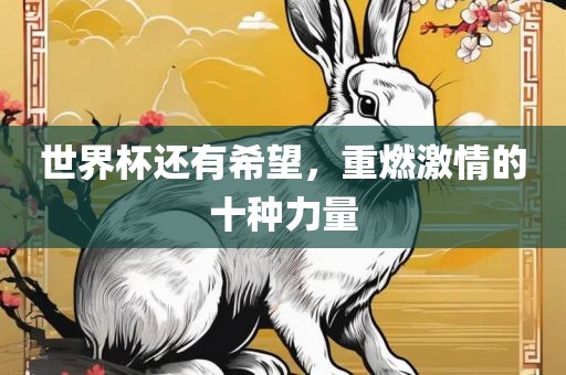 世界杯还有希望，重燃激情的十种力量