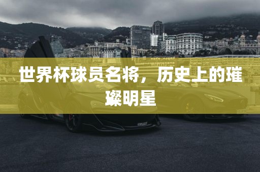 世界杯球员名将，历史上的璀璨明星