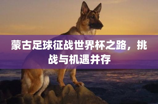 蒙古足球征战世界杯之路，挑战与机遇并存