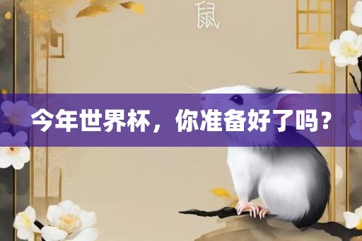 今年世界杯，你准备好了吗？