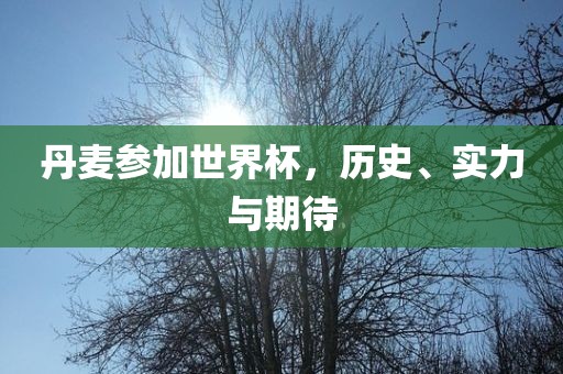 丹麦参加世界杯，历史、实力与期待
