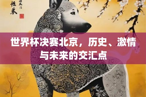 世界杯决赛北京，历史、激情与未来的交汇点