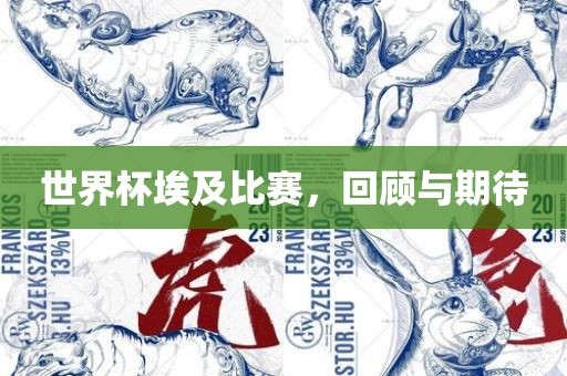 世界杯埃及比赛，回顾与期待