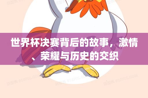 世界杯决赛背后的故事，激情、荣耀与历史的交织