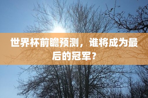世界杯前瞻预测，谁将成为最后的冠军？
