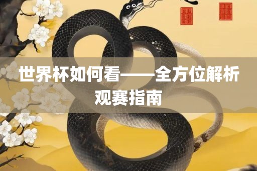 世界杯如何看——全方位解析观赛指南