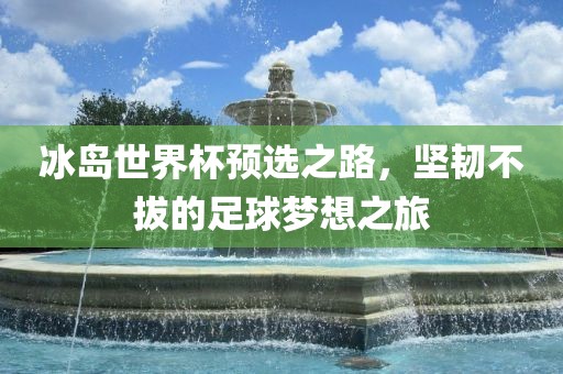 冰岛世界杯预选之路，坚韧不拔的足球梦想之旅