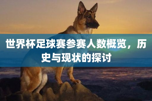 世界杯足球赛参赛人数概览，历史与现状的探讨